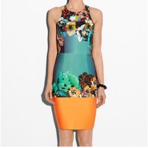 Milly Sea Blossom floral scuba neoprene sheath dress -sz 6